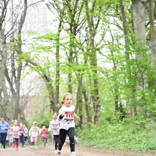 13.04.2025 - Hammer Lauf Dr. Thomas Lammeyer http://msf.ph/oto/7632387 13.04.2025 09:25:13 Laufen 820, 1172 meine-sportfotos.de
