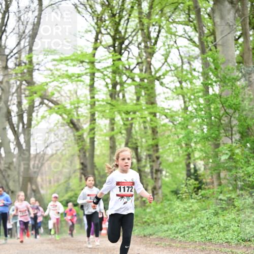 13.04.2025 - Hammer Lauf Dr. Thomas Lammeyer http://msf.ph/oto/7632394 13.04.2025 09:25:13 Laufen 826, 15, 1172 meine-sportfotos.de