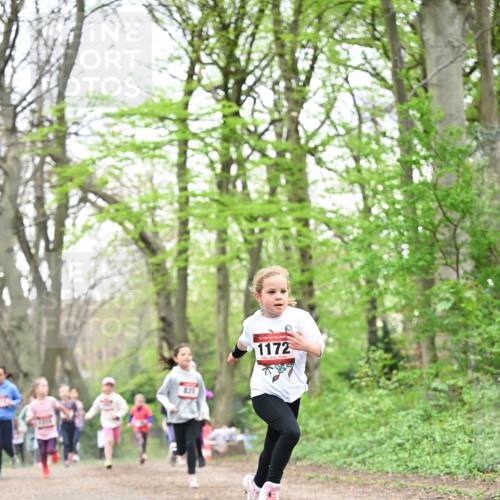 13.04.2025 - Hammer Lauf Dr. Thomas Lammeyer http://msf.ph/oto/7632401 13.04.2025 09:25:13 Laufen 821, 1172 meine-sportfotos.de