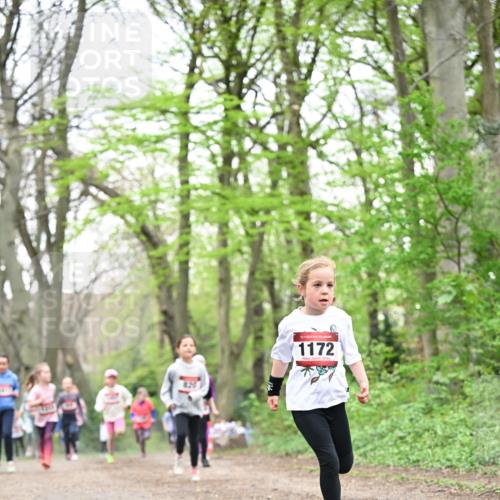 13.04.2025 - Hammer Lauf Dr. Thomas Lammeyer http://msf.ph/oto/7632408 13.04.2025 09:25:13 Laufen 820, 15, 1172 meine-sportfotos.de