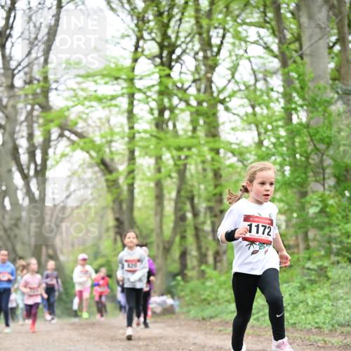 13.04.2025 - Hammer Lauf Dr. Thomas Lammeyer http://msf.ph/oto/7632413 13.04.2025 09:25:14 Laufen 820, 15, 1172 meine-sportfotos.de