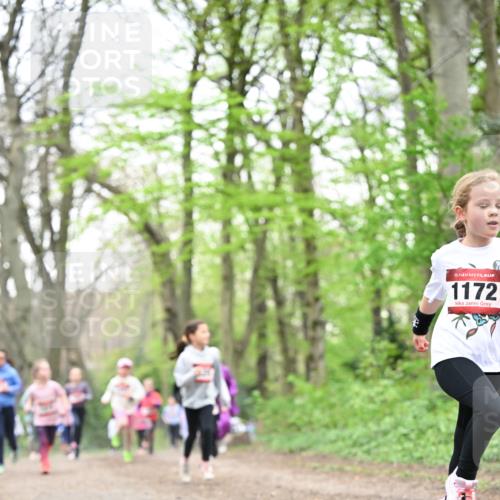 13.04.2025 - Hammer Lauf Dr. Thomas Lammeyer http://msf.ph/oto/7632425 13.04.2025 09:25:14 Laufen 15, 1172 meine-sportfotos.de