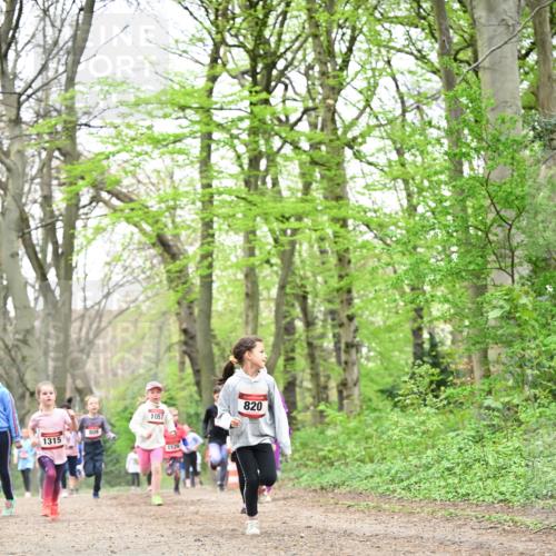 13.04.2025 - Hammer Lauf Dr. Thomas Lammeyer http://msf.ph/oto/7632440 13.04.2025 09:25:14 Laufen 804, 1315, 1057, 1126, 820 meine-sportfotos.de