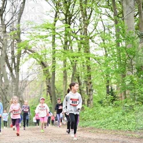 13.04.2025 - Hammer Lauf Dr. Thomas Lammeyer http://msf.ph/oto/7632463 13.04.2025 09:25:15 Laufen 809, 1315, 1057, 820 meine-sportfotos.de