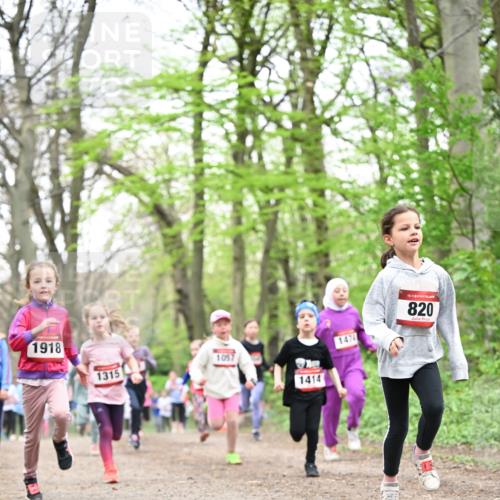 13.04.2025 - Hammer Lauf Dr. Thomas Lammeyer http://msf.ph/oto/7632504 13.04.2025 09:25:16 Laufen 1918, 1057, 1315, 1414, 1474, 15, 820 meine-sportfotos.de