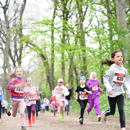 13.04.2025 - Hammer Lauf Dr. Thomas Lammeyer http://msf.ph/oto/7632512 13.04.2025 09:25:16 Laufen 1918, 1057, 1315, 1414, 147, 15, 820 meine-sportfotos.de