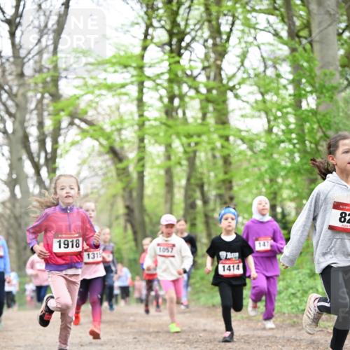 13.04.2025 - Hammer Lauf Dr. Thomas Lammeyer http://msf.ph/oto/7632519 13.04.2025 09:25:16 Laufen 1918, 131, 1057, 1414, 147, 15, 82 meine-sportfotos.de