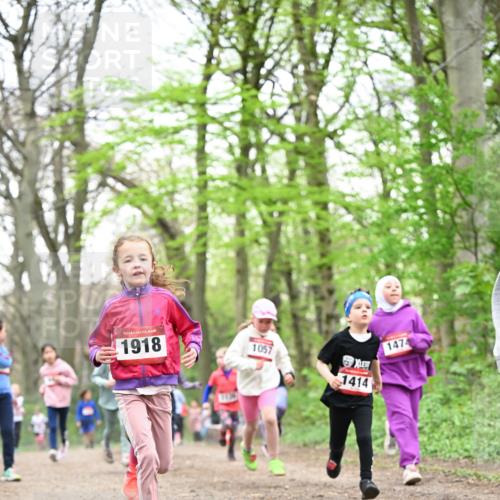 13.04.2025 - Hammer Lauf Dr. Thomas Lammeyer http://msf.ph/oto/7632527 13.04.2025 09:25:16 Laufen 15, 1918, 1057, 1474, 1414 meine-sportfotos.de