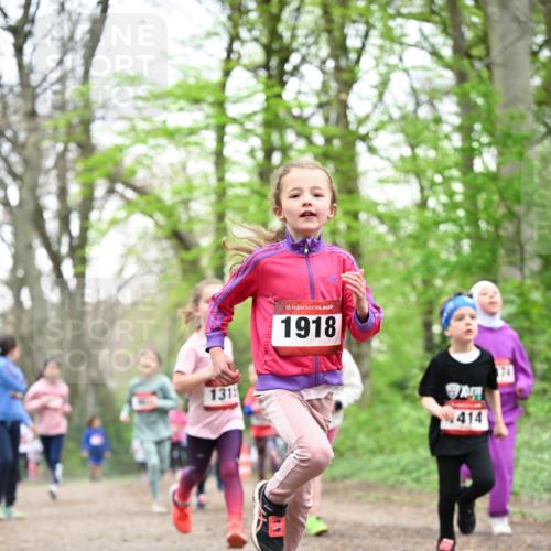 13.04.2025 - Hammer Lauf Dr. Thomas Lammeyer http://msf.ph/oto/7632556 13.04.2025 09:25:17 Laufen 131, 15, 1918, 414, 74 meine-sportfotos.de