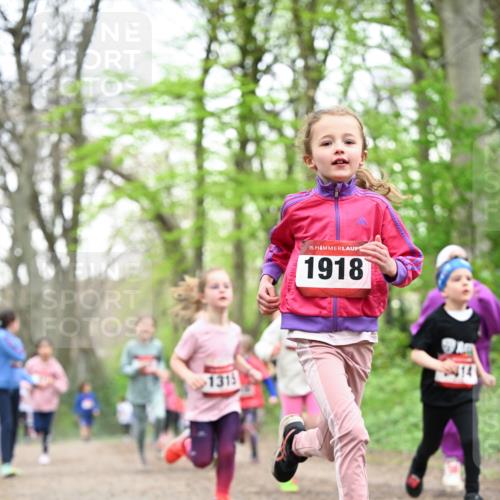 13.04.2025 - Hammer Lauf Dr. Thomas Lammeyer http://msf.ph/oto/7632563 13.04.2025 09:25:17 Laufen 1315, 15, 1918 meine-sportfotos.de