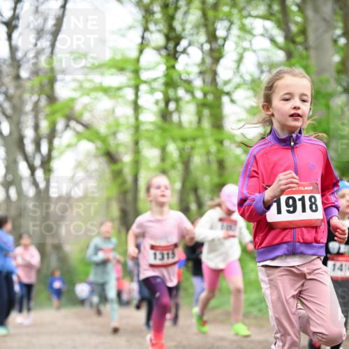 13.04.2025 - Hammer Lauf Dr. Thomas Lammeyer http://msf.ph/oto/7632571 13.04.2025 09:25:17 Laufen 1918, 1414 meine-sportfotos.de