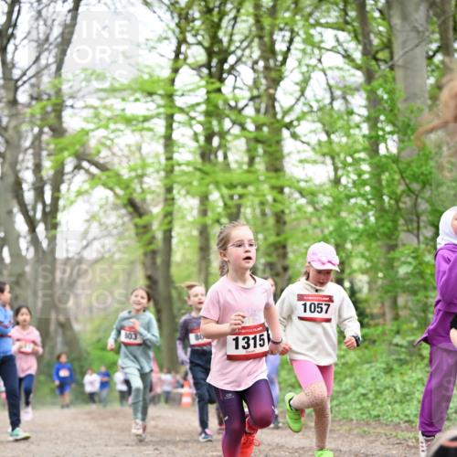 13.04.2025 - Hammer Lauf Dr. Thomas Lammeyer http://msf.ph/oto/7632577 13.04.2025 09:25:17 Laufen 103, 80, 1057, 1315 meine-sportfotos.de