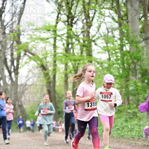13.04.2025 - Hammer Lauf Dr. Thomas Lammeyer http://msf.ph/oto/7632586 13.04.2025 09:25:17 Laufen 809, 102, 1315, 1057 meine-sportfotos.de