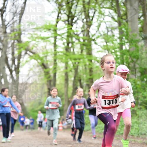 13.04.2025 - Hammer Lauf Dr. Thomas Lammeyer http://msf.ph/oto/7632599 13.04.2025 09:25:17 Laufen 103, 0401, 15, 1315 meine-sportfotos.de