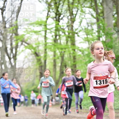13.04.2025 - Hammer Lauf Dr. Thomas Lammeyer http://msf.ph/oto/7632606 13.04.2025 09:25:18 Laufen 15, 1315 meine-sportfotos.de