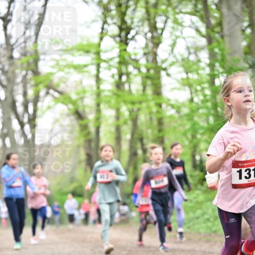 13.04.2025 - Hammer Lauf Dr. Thomas Lammeyer http://msf.ph/oto/7632613 13.04.2025 09:25:18 Laufen 15, 131 meine-sportfotos.de