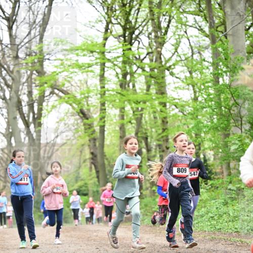 13.04.2025 - Hammer Lauf Dr. Thomas Lammeyer http://msf.ph/oto/7632620 13.04.2025 09:25:18 Laufen 611, 941, 809, 547 meine-sportfotos.de