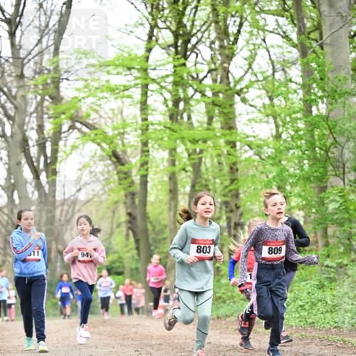 13.04.2025 - Hammer Lauf Dr. Thomas Lammeyer http://msf.ph/oto/7632628 13.04.2025 09:25:18 Laufen 94, 15, 803, 809 meine-sportfotos.de