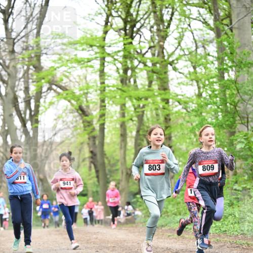 13.04.2025 - Hammer Lauf Dr. Thomas Lammeyer http://msf.ph/oto/7632635 13.04.2025 09:25:18 Laufen 11, 941, 803, 809 meine-sportfotos.de