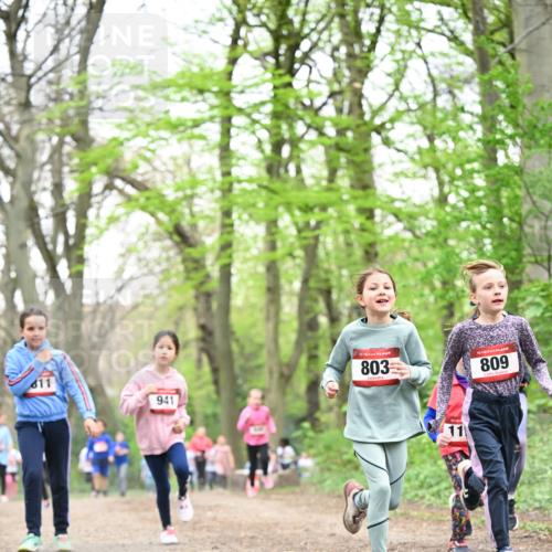 13.04.2025 - Hammer Lauf Dr. Thomas Lammeyer http://msf.ph/oto/7632642 13.04.2025 09:25:18 Laufen 941, 15, 803, 809, 11 meine-sportfotos.de