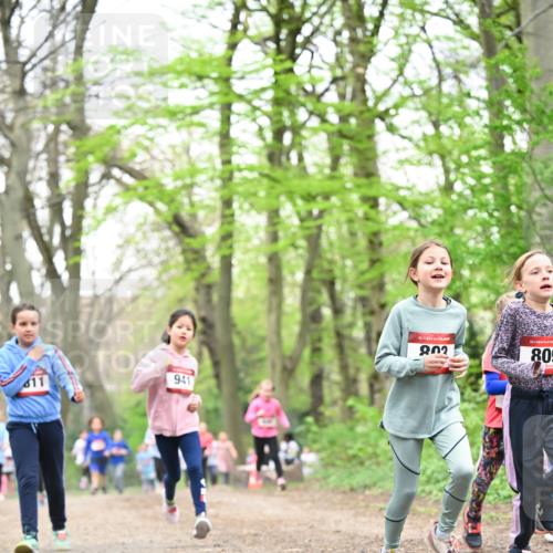 13.04.2025 - Hammer Lauf Dr. Thomas Lammeyer http://msf.ph/oto/7632647 13.04.2025 09:25:19 Laufen 941, 15, 15, 809 meine-sportfotos.de