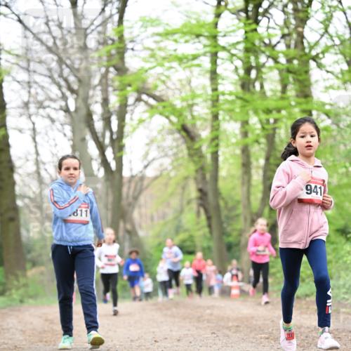 13.04.2025 - Hammer Lauf Dr. Thomas Lammeyer http://msf.ph/oto/7632689 13.04.2025 09:25:20 Laufen 811, 941 meine-sportfotos.de
