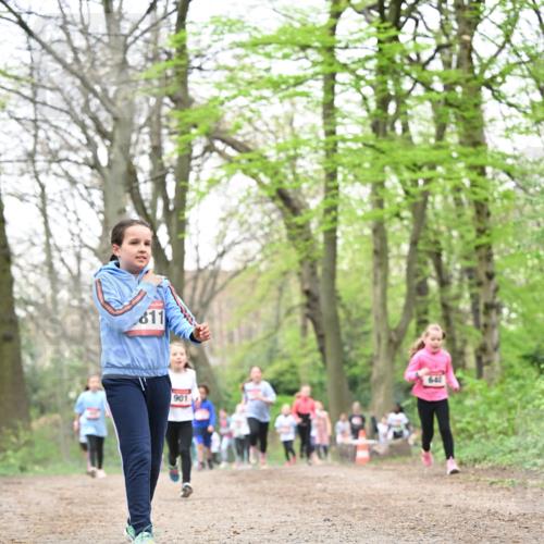 13.04.2025 - Hammer Lauf Dr. Thomas Lammeyer http://msf.ph/oto/7632709 13.04.2025 09:25:20 Laufen 611, 901, 640 meine-sportfotos.de
