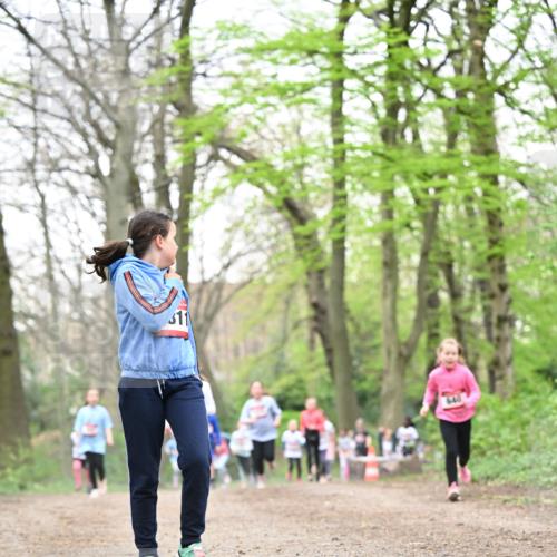 13.04.2025 - Hammer Lauf Dr. Thomas Lammeyer http://msf.ph/oto/7632725 13.04.2025 09:25:21 Laufen 311, 640 meine-sportfotos.de