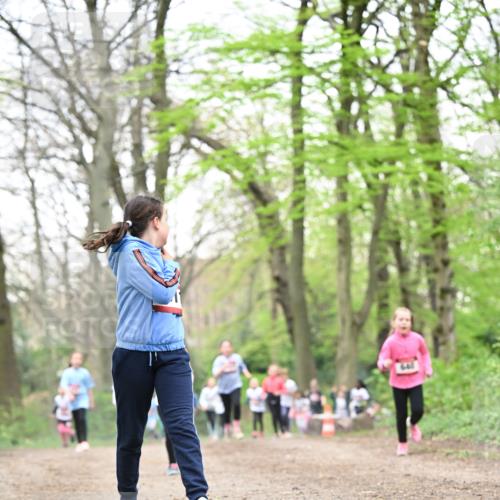 13.04.2025 - Hammer Lauf Dr. Thomas Lammeyer http://msf.ph/oto/7632732 13.04.2025 09:25:21 Laufen 640 meine-sportfotos.de