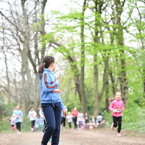 13.04.2025 - Hammer Lauf Dr. Thomas Lammeyer http://msf.ph/oto/7632749 13.04.2025 09:25:21 Laufen  meine-sportfotos.de