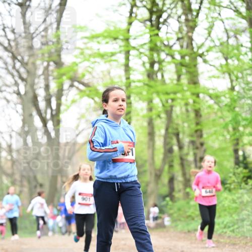 13.04.2025 - Hammer Lauf Dr. Thomas Lammeyer http://msf.ph/oto/7632757 13.04.2025 09:25:22 Laufen 901 meine-sportfotos.de