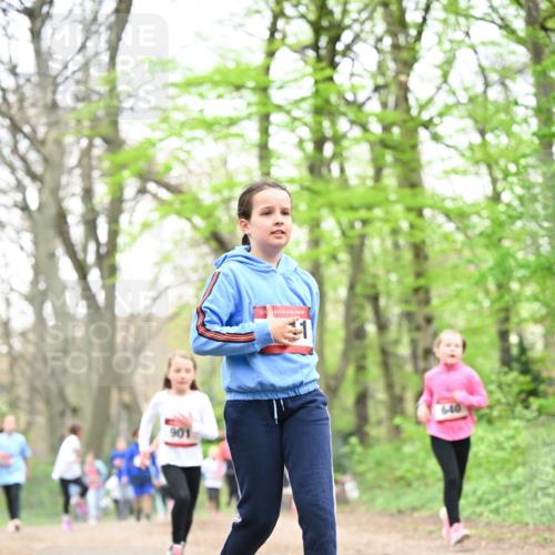 13.04.2025 - Hammer Lauf Dr. Thomas Lammeyer http://msf.ph/oto/7632763 13.04.2025 09:25:22 Laufen 901, 1 meine-sportfotos.de