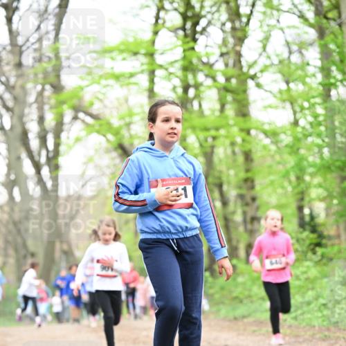 13.04.2025 - Hammer Lauf Dr. Thomas Lammeyer http://msf.ph/oto/7632768 13.04.2025 09:25:22 Laufen 21 meine-sportfotos.de