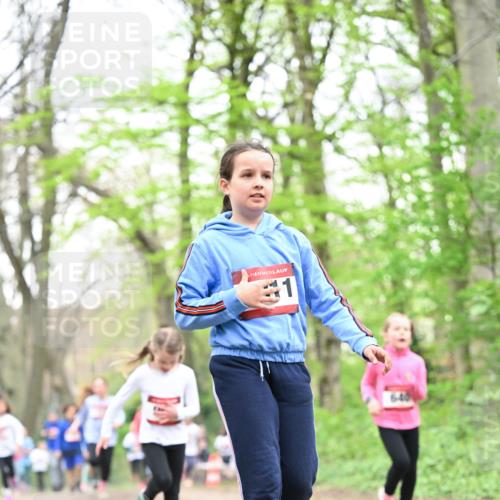 13.04.2025 - Hammer Lauf Dr. Thomas Lammeyer http://msf.ph/oto/7632774 13.04.2025 09:25:22 Laufen 277, 1 meine-sportfotos.de