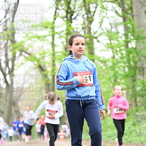 13.04.2025 - Hammer Lauf Dr. Thomas Lammeyer http://msf.ph/oto/7632780 13.04.2025 09:25:22 Laufen 1 meine-sportfotos.de