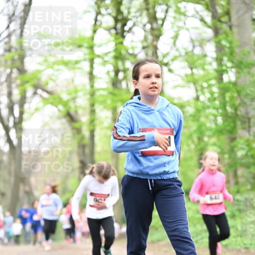 13.04.2025 - Hammer Lauf Dr. Thomas Lammeyer http://msf.ph/oto/7632786 13.04.2025 09:25:23 Laufen 15 meine-sportfotos.de