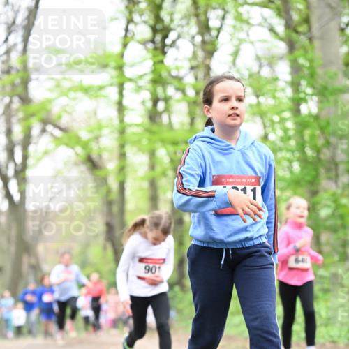 13.04.2025 - Hammer Lauf Dr. Thomas Lammeyer http://msf.ph/oto/7632792 13.04.2025 09:25:23 Laufen 15, 901, 6, 411 meine-sportfotos.de