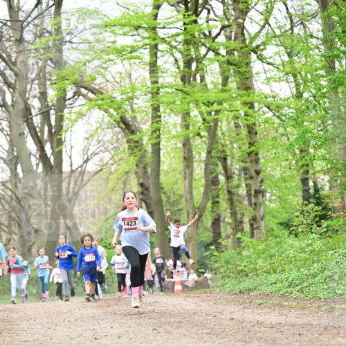 13.04.2025 - Hammer Lauf Dr. Thomas Lammeyer http://msf.ph/oto/7632834 13.04.2025 09:25:24 Laufen 1321, 1716, 1423, 225 meine-sportfotos.de