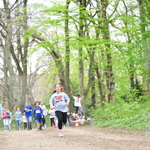 13.04.2025 - Hammer Lauf Dr. Thomas Lammeyer http://msf.ph/oto/7632841 13.04.2025 09:25:24 Laufen 1321, 1423 meine-sportfotos.de