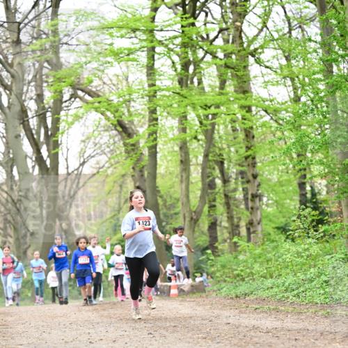 13.04.2025 - Hammer Lauf Dr. Thomas Lammeyer http://msf.ph/oto/7632848 13.04.2025 09:25:24 Laufen 1321, 1123 meine-sportfotos.de
