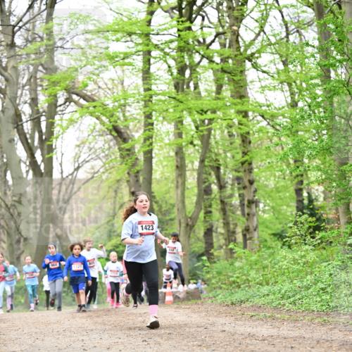 13.04.2025 - Hammer Lauf Dr. Thomas Lammeyer http://msf.ph/oto/7632855 13.04.2025 09:25:24 Laufen 1321, 1423 meine-sportfotos.de