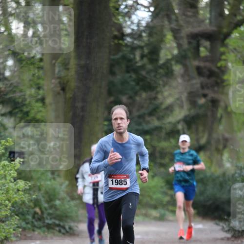 13.04.2025 - Hammer Lauf Jannik Wohlers http://msf.ph/oto/7632870 13.04.2025 10:25:37 Laufen 739, 15, 1985 meine-sportfotos.de