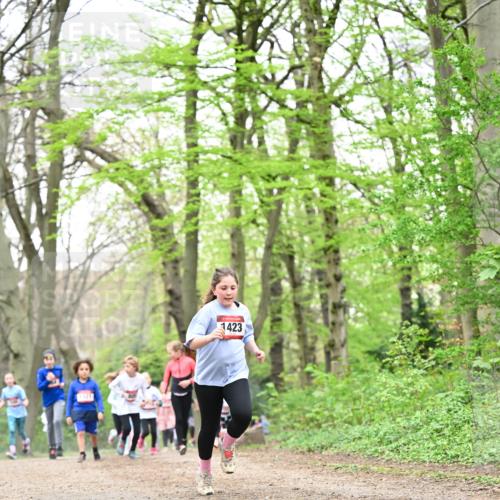 13.04.2025 - Hammer Lauf Dr. Thomas Lammeyer http://msf.ph/oto/7632887 13.04.2025 09:25:25 Laufen 21321, 1423 meine-sportfotos.de