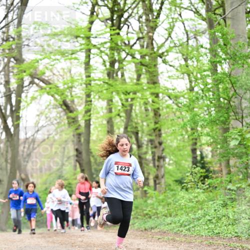 13.04.2025 - Hammer Lauf Dr. Thomas Lammeyer http://msf.ph/oto/7632904 13.04.2025 09:25:25 Laufen 1423 meine-sportfotos.de