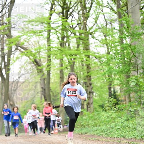 13.04.2025 - Hammer Lauf Dr. Thomas Lammeyer http://msf.ph/oto/7632910 13.04.2025 09:25:25 Laufen 1423 meine-sportfotos.de
