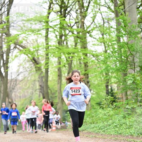 13.04.2025 - Hammer Lauf Dr. Thomas Lammeyer http://msf.ph/oto/7632917 13.04.2025 09:25:25 Laufen 15, 1423 meine-sportfotos.de
