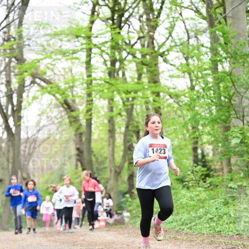 13.04.2025 - Hammer Lauf Dr. Thomas Lammeyer http://msf.ph/oto/7632926 13.04.2025 09:25:25 Laufen 15, 1423 meine-sportfotos.de