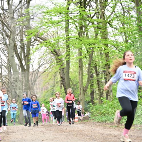 13.04.2025 - Hammer Lauf Dr. Thomas Lammeyer http://msf.ph/oto/7632935 13.04.2025 09:25:26 Laufen 402, 1240, 964, 1321, 1456, 1423 meine-sportfotos.de