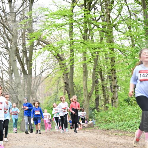 13.04.2025 - Hammer Lauf Dr. Thomas Lammeyer http://msf.ph/oto/7632942 13.04.2025 09:25:26 Laufen 02, 1240, 964, 1321, 940, 805, 1456, 142 meine-sportfotos.de