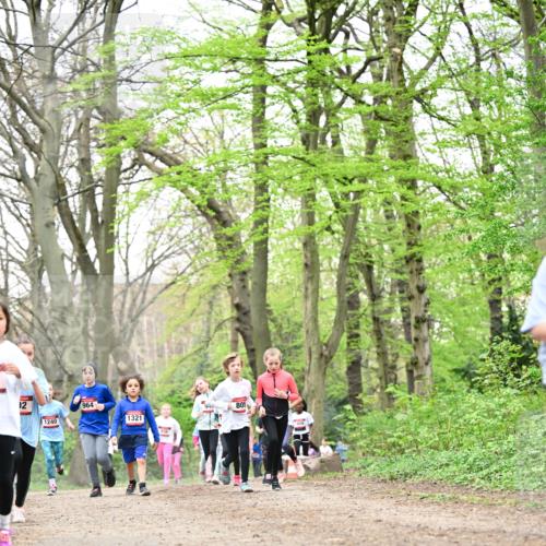 13.04.2025 - Hammer Lauf Dr. Thomas Lammeyer http://msf.ph/oto/7632949 13.04.2025 09:25:26 Laufen 12, 1240, 964, 1321, 805, 1456 meine-sportfotos.de